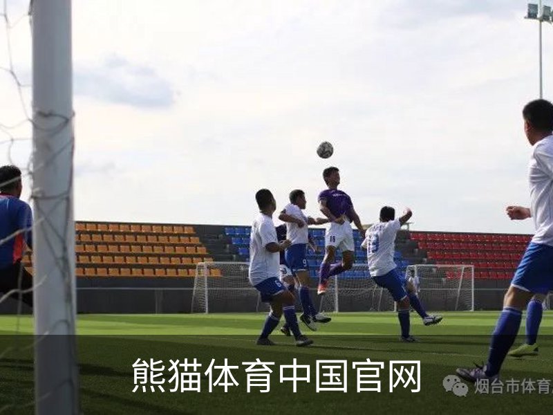 关于熊猫体育中国官网